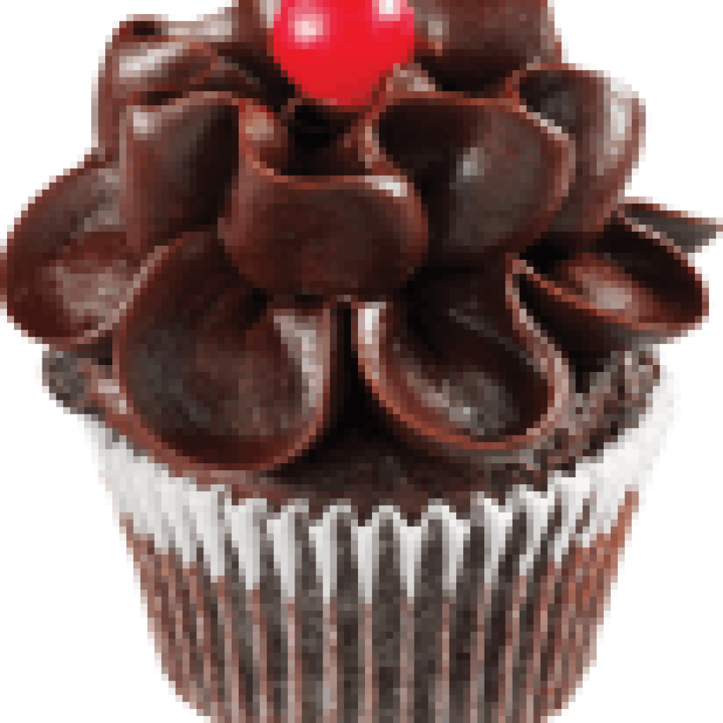 demo-attachment-530-Chocolate-Flower-Cupcake-1351x1520-1